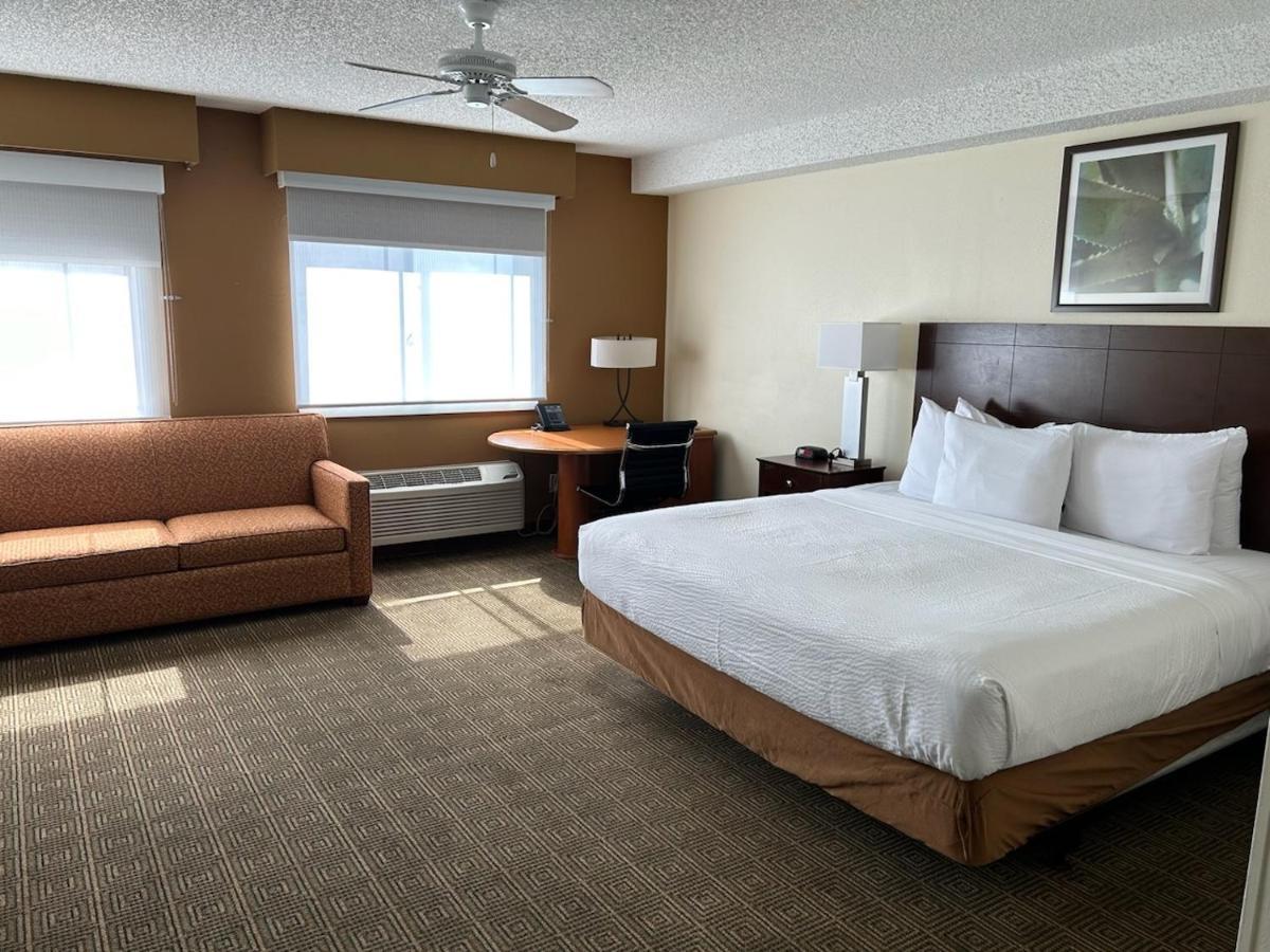 La Quinta By Wyndham Orlando South Hotell Williamsburg Eksteriør bilde