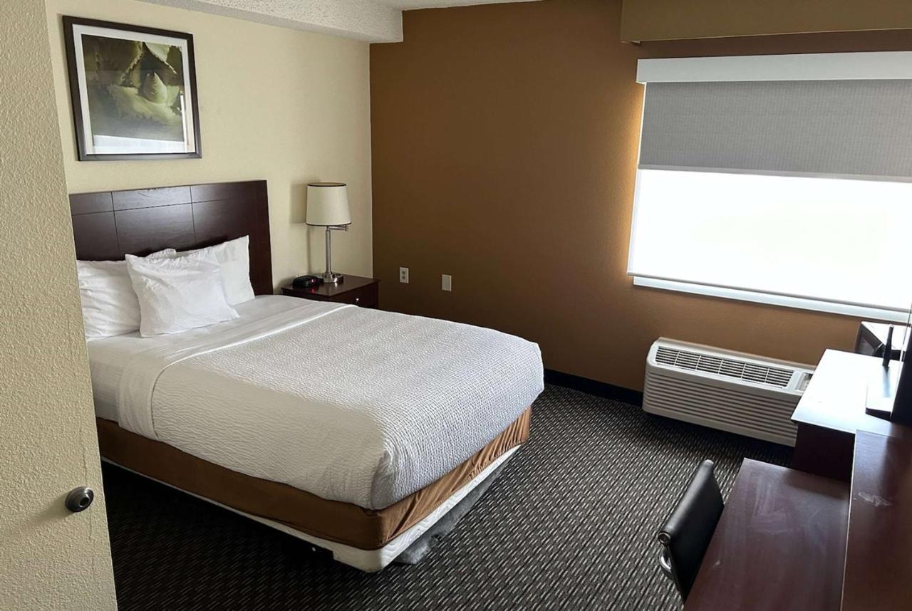 La Quinta By Wyndham Orlando South Hotell Williamsburg Eksteriør bilde