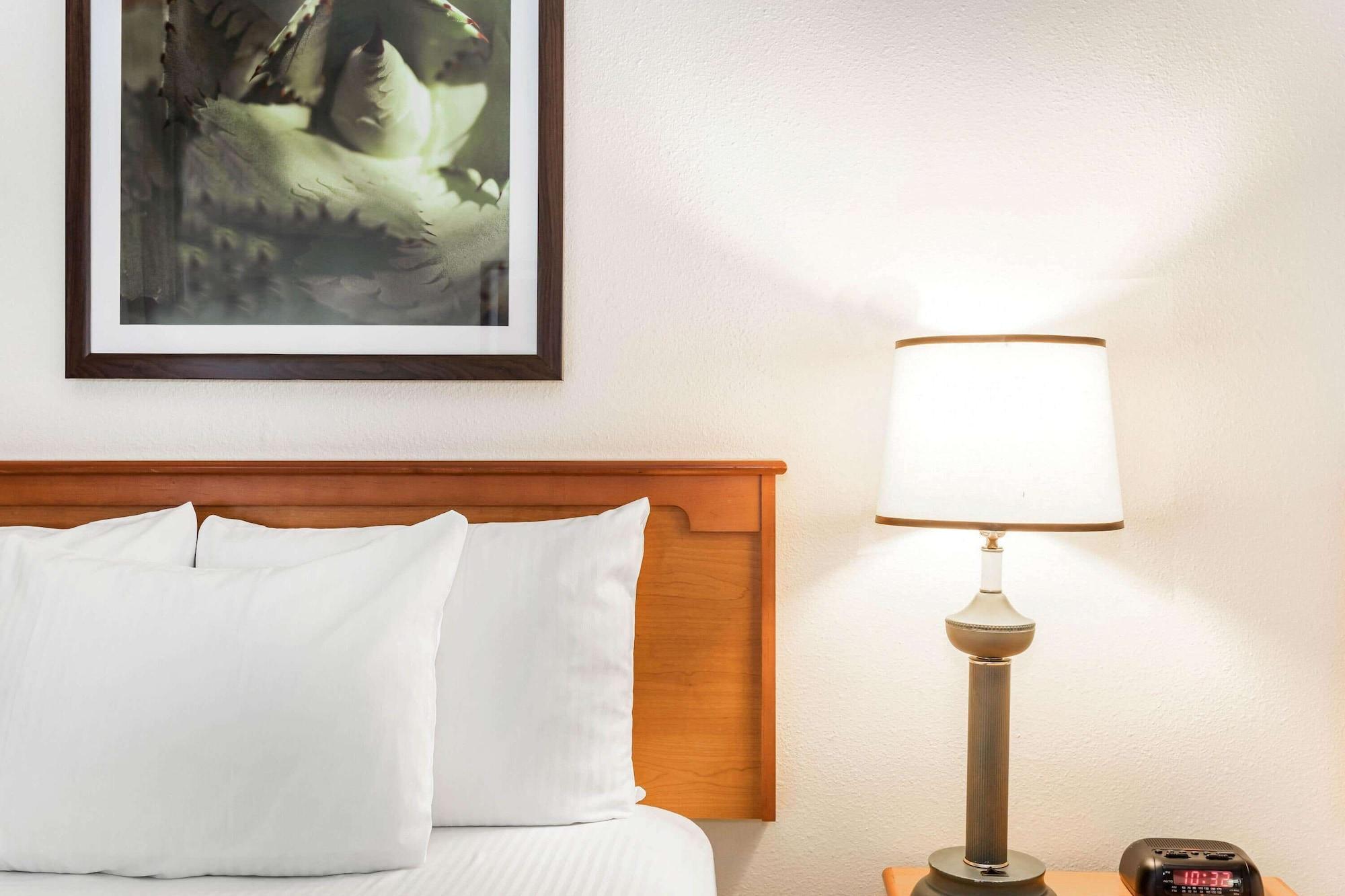La Quinta By Wyndham Orlando South Hotell Williamsburg Eksteriør bilde